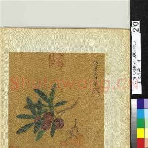 宋元名迹.册.宋钱选枇杷杨梅故画|2幅|22.79 MB|高清下载