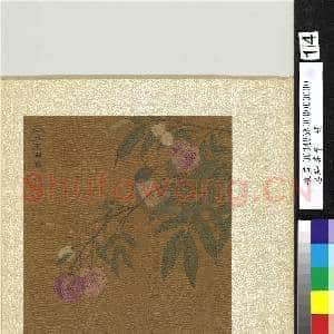 名绘荟萃.册.元王渊荔枝故画|2幅|22.01 MB|高清下载