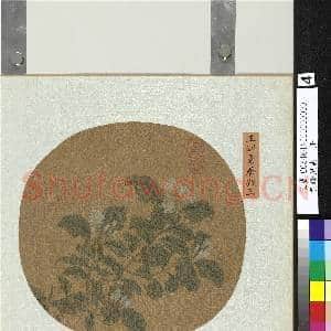 集珍挹爽.册.元王渊素馨凝玉故画|2幅|20.62 MB|高清下载