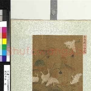 集珍寿古.册.宋李迪荷汀白鹭故画|1幅|11.16 MB|高清下载