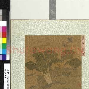 集珍寿古.册.宋鲁宗贵蔬圃秋虫故画|1幅|11.02 MB|高清下载