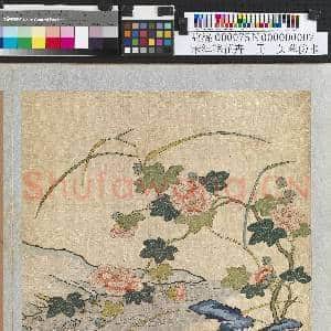 刻丝花卉.册.芙蓉傍水故丝|1幅|13.28 MB|高清下载