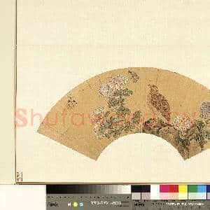 明花卉画|1幅|10.01 MB|高清下载