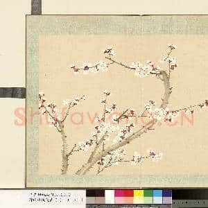 清.钱维城花卉册(一)册画|1幅|8.01 MB|高清下载