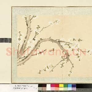 清.钱维城花卉册(一)册画|1幅|7.85 MB|高清下载