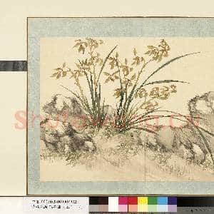 清.钱维城花卉册(二)册画|1幅|8.67 MB|高清下载