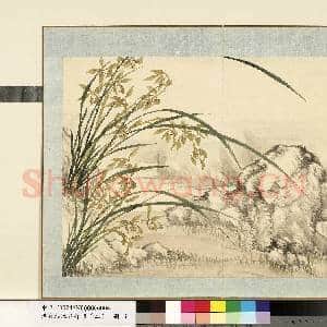 清.钱维城花卉册(二)册画|1幅|8.58 MB|高清下载