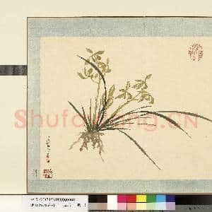 清.钱维城花卉册(二)册画|1幅|7.83 MB|高清下载