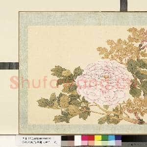 清.钱维城花卉册(四)册画|1幅|8.53 MB|高清下载