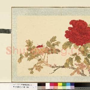 清.钱维城花卉册(四)册画|1幅|8.39 MB|高清下载