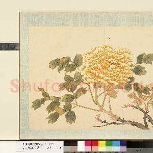 清.钱维城花卉册(四)册画|1幅|8.48 MB|高清下载