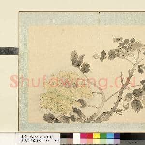清.钱维城花卉册(四)册画|1幅|8.47 MB|高清下载