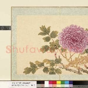 清.钱维城花卉册(四)册画|1幅|8.64 MB|高清下载