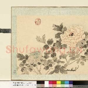 清.钱维城花卉册(四)册画|1幅|8.68 MB|高清下载