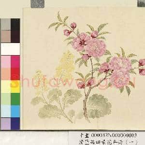 清.董诰四景花卉(一)册春景花卉之三.中画|1幅|7.2 MB|高清下载