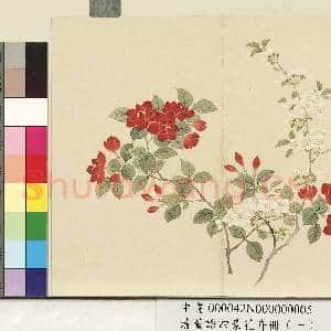 清.董诰四景花卉(一)册春景花卉之五.中画|1幅|7.21 MB|高清下载
