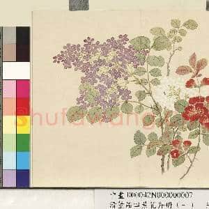 清.董诰四景花卉(一)册春景花卉之七.中画|1幅|7.52 MB|高清下载
