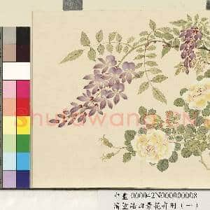 清.董诰四景花卉(一)册春景花卉之八.中画|1幅|7.77 MB|高清下载