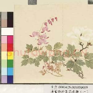 清.董诰四景花卉(一)册春景花卉之九.中画|1幅|7.15 MB|高清下载