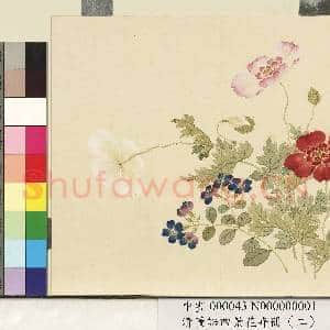 清.董诰四景花卉册(二)册夏景花卉之一.中画|1幅|7.21 MB|高清下载