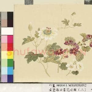 清.董诰四景花卉册(二)册夏景花卉之二.中画|1幅|7.09 MB|高清下载