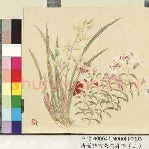 清.董诰四景花卉册(二)册夏景花卉之三.中画|1幅|7.26 MB|高清下载