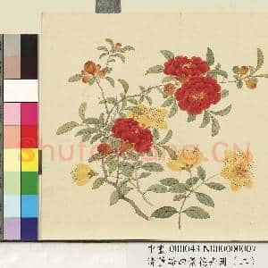 清.董诰四景花卉册(二)册夏景花卉之七.中画|1幅|7.34 MB|高清下载