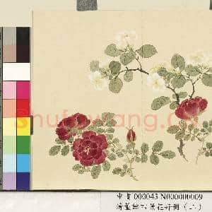 清.董诰四景花卉册(二)册夏景花卉之九.中画|1幅|7.33 MB|高清下载