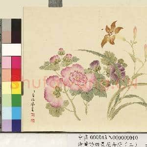 清.董诰四景花卉册(二)册夏景花卉之十.中画|1幅|7.22 MB|高清下载