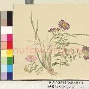 清.董诰四景花卉(三)册秋景花卉之一.中画|1幅|6.99 MB|高清下载