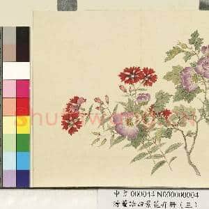 清.董诰四景花卉(三)册秋景花卉之四.中画|1幅|7.44 MB|高清下载