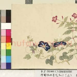 清.董诰四景花卉(三)册秋景花卉之六.中画|1幅|7.13 MB|高清下载