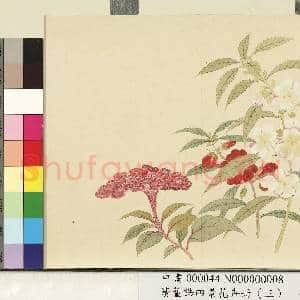 清.董诰四景花卉(三)册秋景花卉之八.中画|1幅|7.24 MB|高清下载