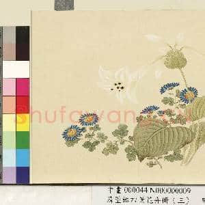 清.董诰四景花卉(三)册秋景花卉之九.中画|1幅|7.13 MB|高清下载