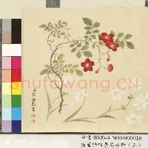清.董诰四景花卉(三)册秋景花卉之十.中画|1幅|7.13 MB|高清下载