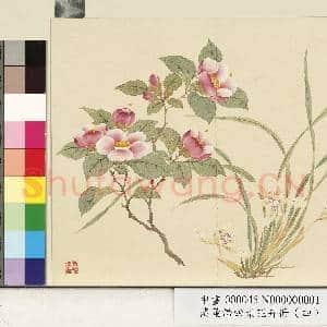 清.董诰四景花卉(四)册冬景花卉之一.中画|1幅|9.29 MB|高清下载