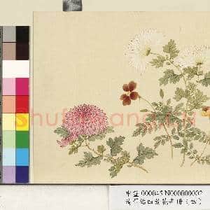 清.董诰四景花卉(四)册冬景花卉之二.中画|1幅|9.47 MB|高清下载