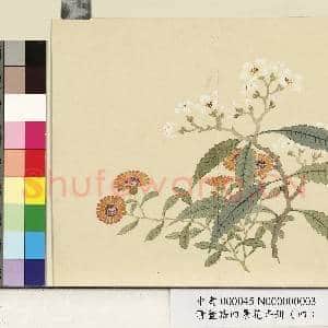 清.董诰四景花卉(四)册冬景花卉之三.中画|1幅|9.01 MB|高清下载