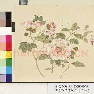 清.董诰四景花卉(四)册冬景花卉之四.中画|1幅|9.18 MB|高清下载