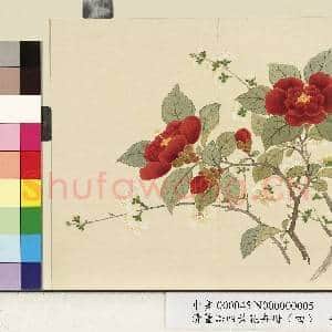 清.董诰四景花卉(四)册冬景花卉之五.中画|1幅|9.48 MB|高清下载
