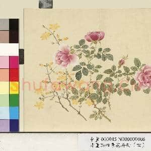 清.董诰四景花卉(四)册冬景花卉之六.中画|1幅|9.39 MB|高清下载