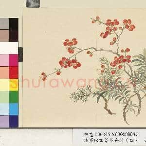 清.董诰四景花卉(四)册冬景花卉之七.中画|1幅|8.78 MB|高清下载