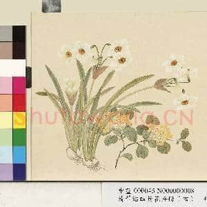 清.董诰四景花卉(四)册冬景花卉之八.中画|1幅|9.07 MB|高清下载