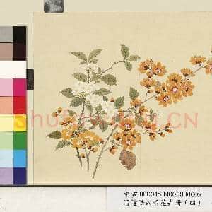 清.董诰四景花卉(四)册冬景花卉之九.中画|1幅|9.13 MB|高清下载