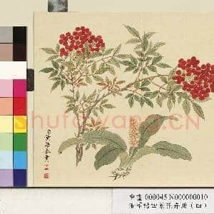 清.董诰四景花卉(四)册冬景花卉之十.中画|1幅|9.62 MB|高清下载