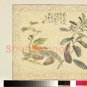 清.刘德六花卉十二员册络纬秋瓜.赠画|1幅|11.66 MB|高清下载