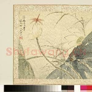 清.刘德六花卉十二员册静香清.暑.赠画|1幅|12.11 MB|高清下载