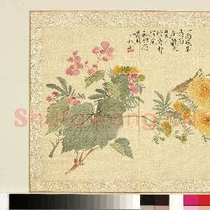 清.刘德六花卉十二员册秋菊海棠.赠画|1幅|11.74 MB|高清下载