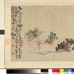 清.黄慎花卉册牡丹.赠画|1幅|11.93 MB|高清下载