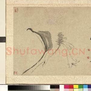 清.黄慎花卉册玉簪.赠画|1幅|11.74 MB|高清下载